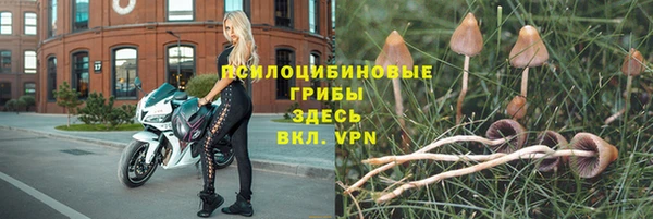 mdpv Аркадак