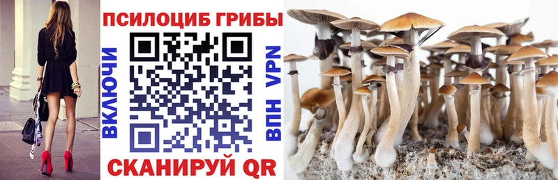 Галлюциногенные грибы ЛСД  купить наркоту  Нарьян-Мар 