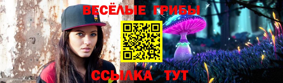 Псилоцибиновые грибы Psilocybe  Вход с VPN  Нарьян-Мар 