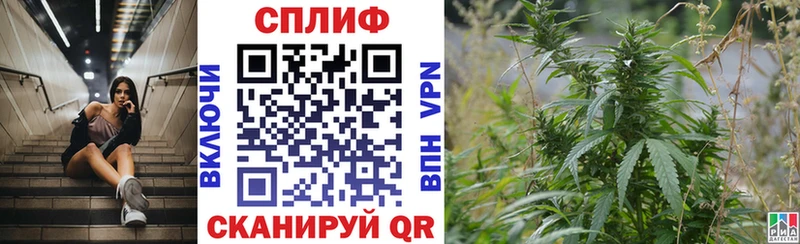 МАРИХУАНА Amnesia где продают Нарьян-Мар
